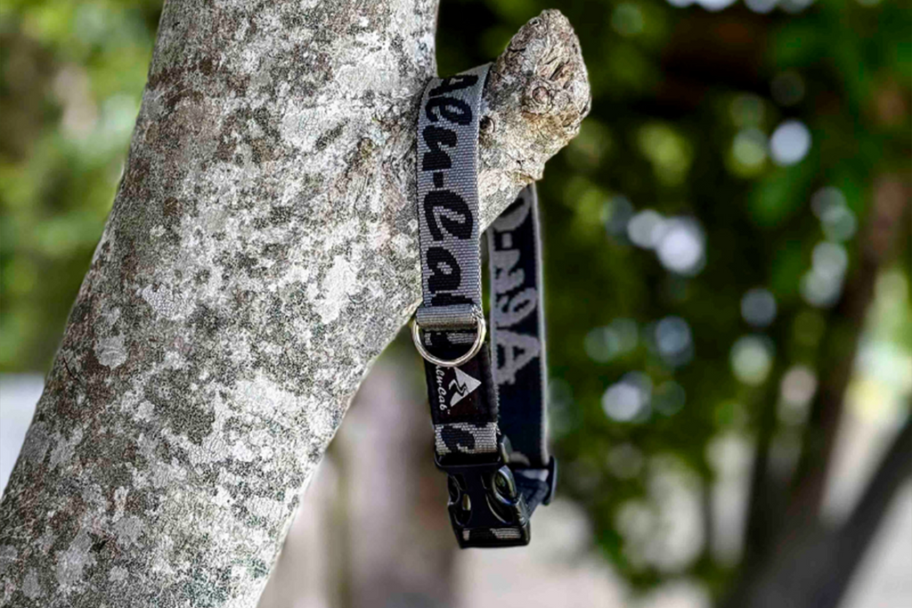 Trail Buddy Dog Collar