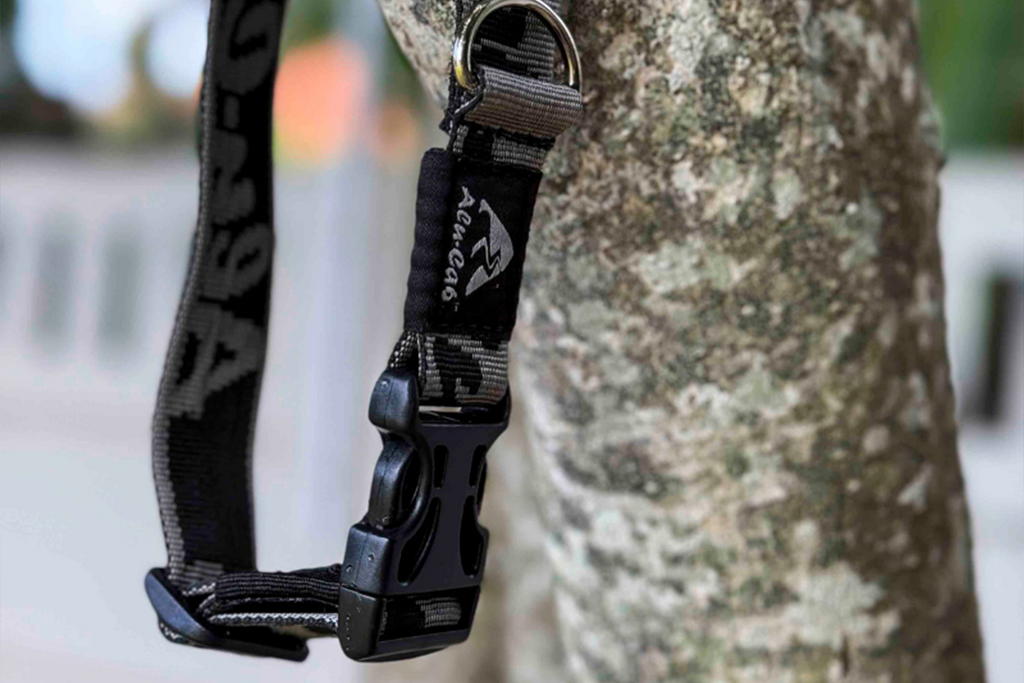 Trail Buddy Dog Collar